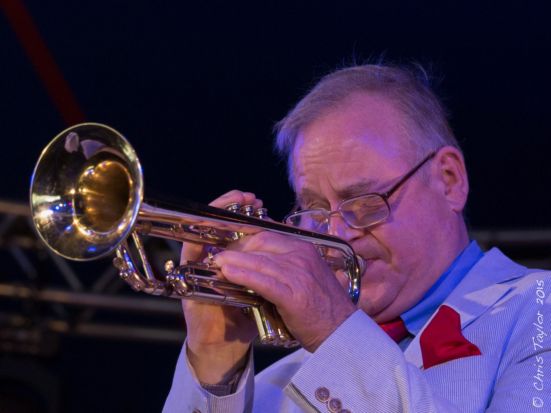 Ealing Jazz Festival 1st August 2015