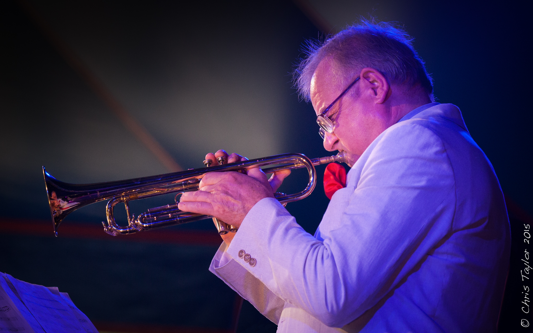 Ealing Jazz Festival 2015